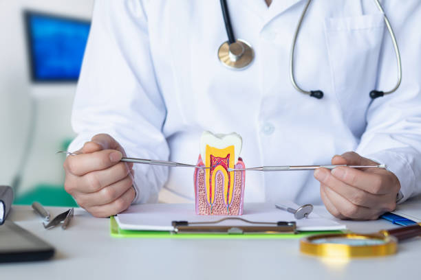 Best Emergency Dental Care for Broken or Chipped Teeth in Dermott, AR